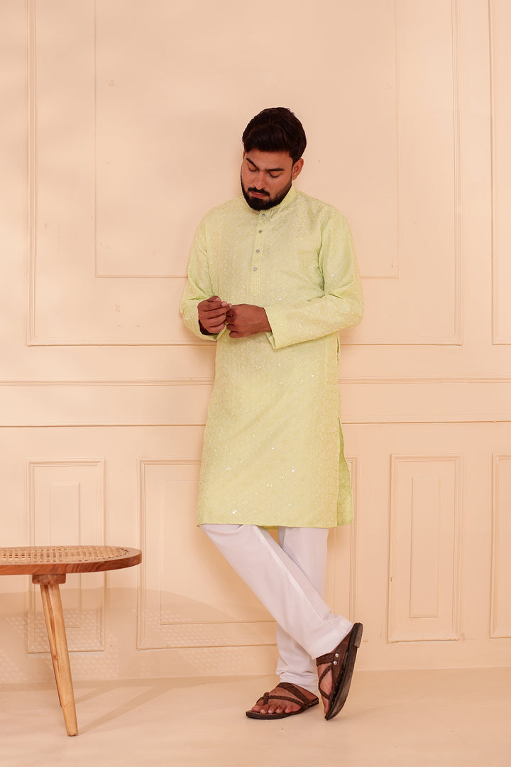 Mint Green Lucknowi Chikankari Kurta Suit with Sequin Work.